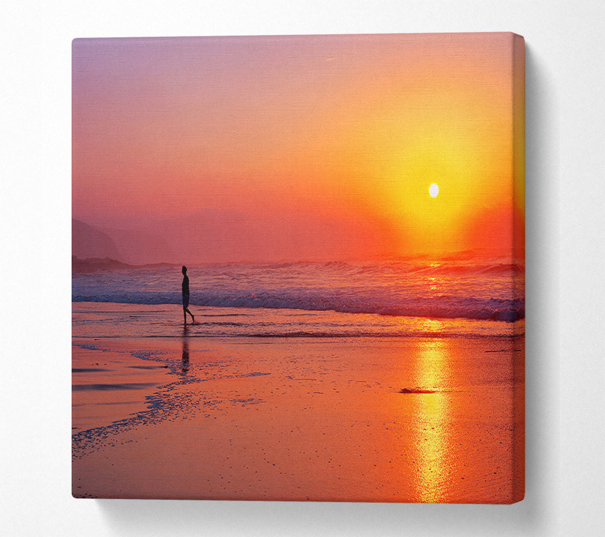 Strolling In Paradise Canvas Wall Art