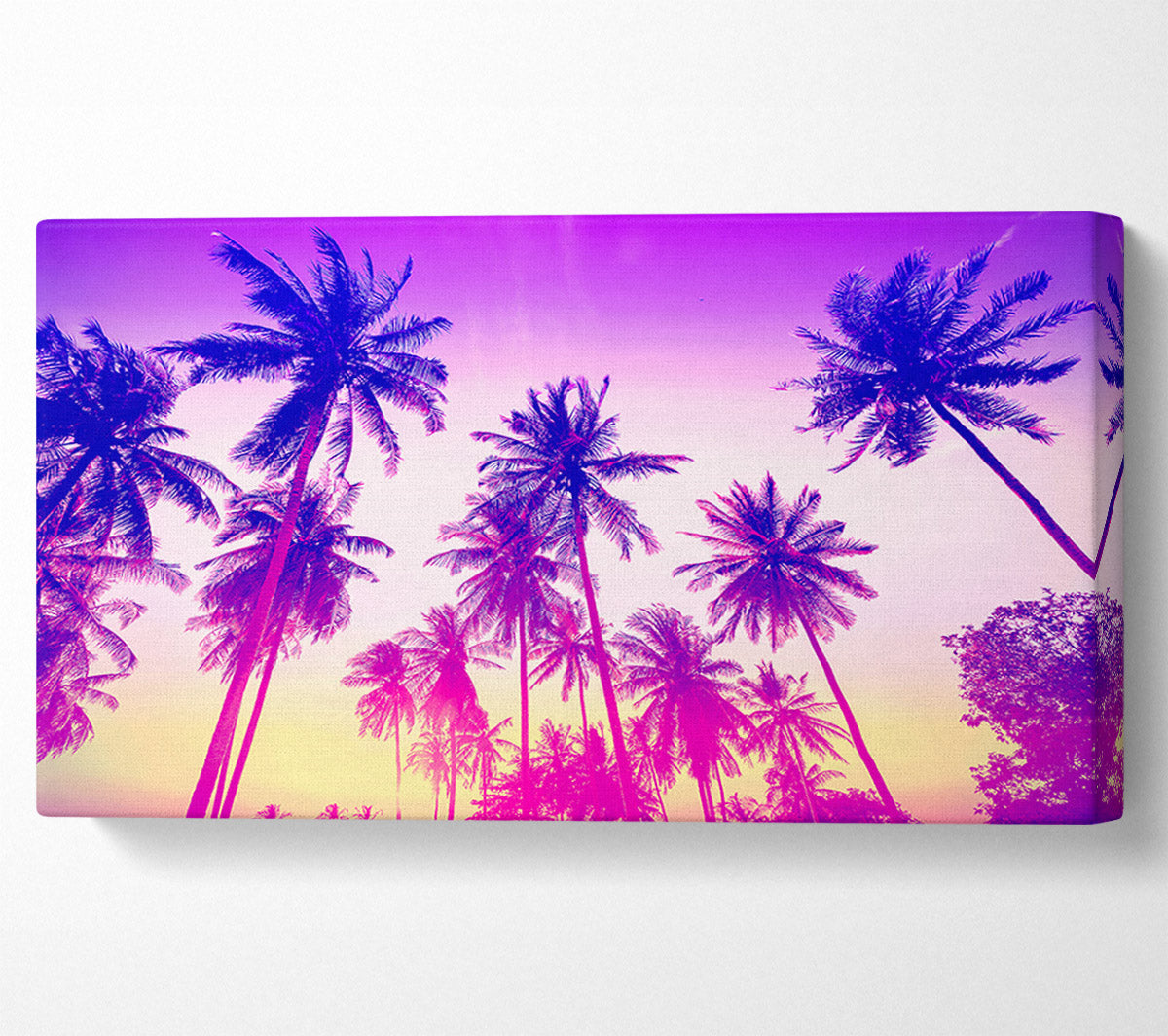 Psychedelic Palm Tree Skies Canvas Wall Art