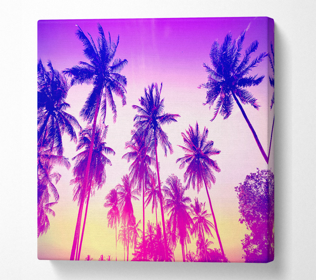 Psychedelic Palm Tree Skies Canvas Wall Art