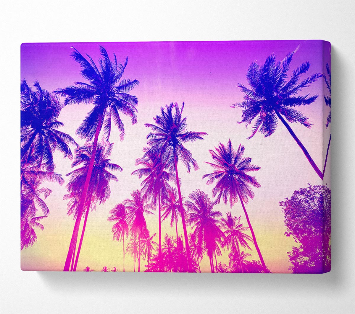 Psychedelic Palm Tree Skies Canvas Wall Art