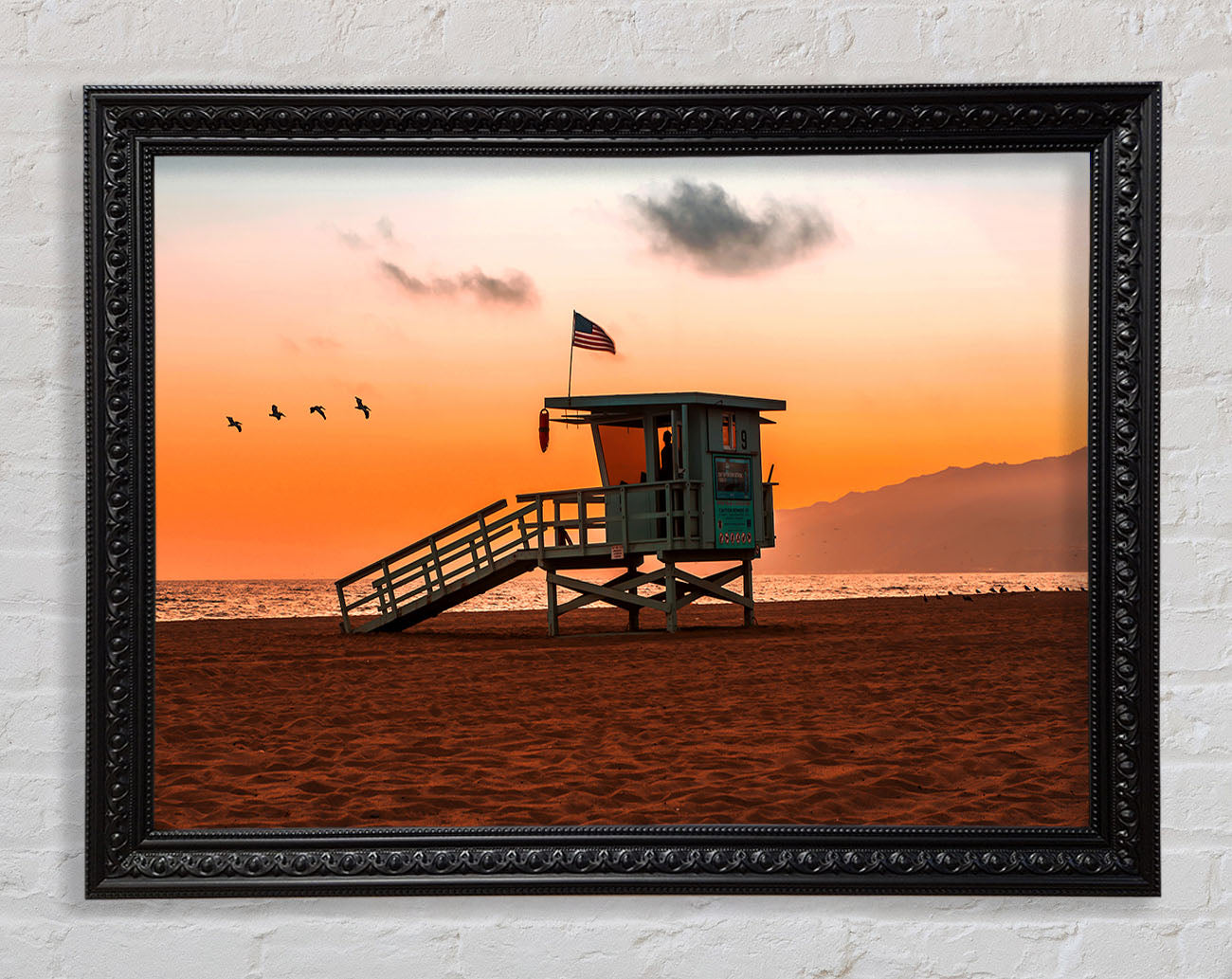 Birds Of Paradise Framed Print