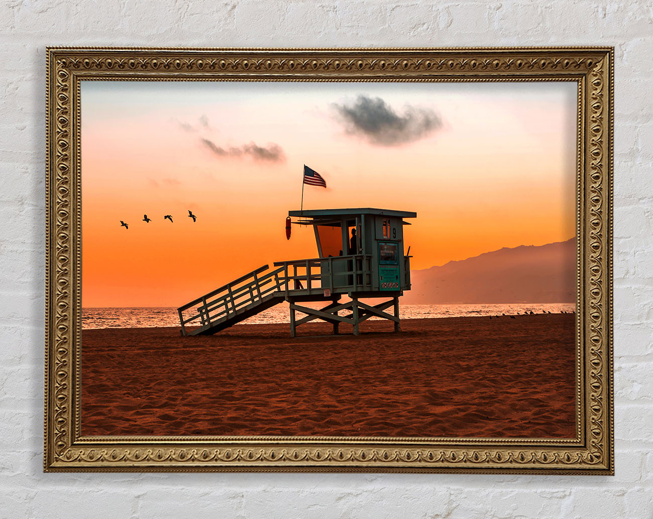 Birds Of Paradise Framed Print