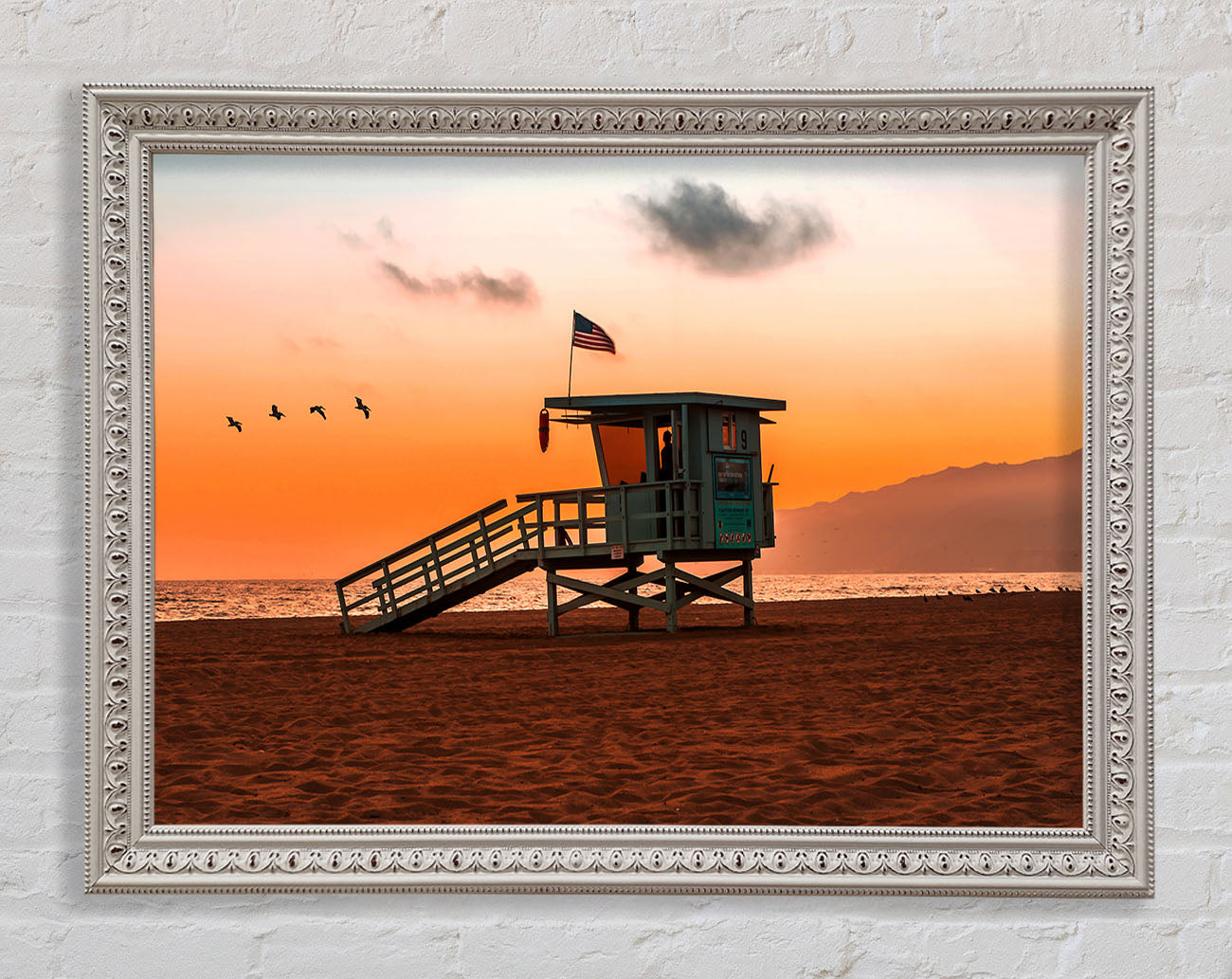 Birds Of Paradise Framed Print