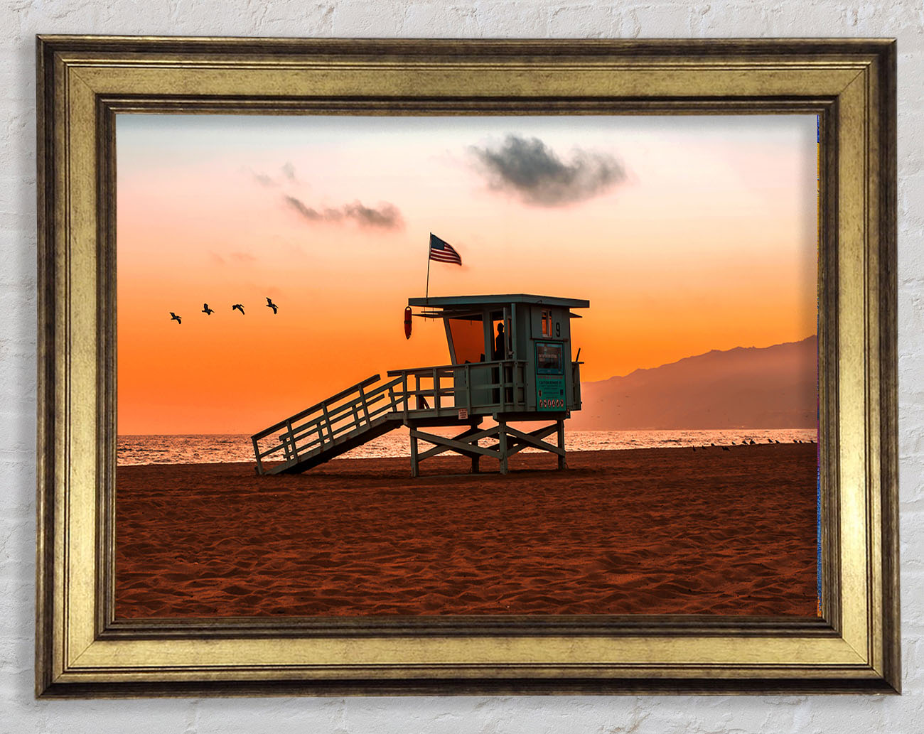 Birds Of Paradise Framed Print