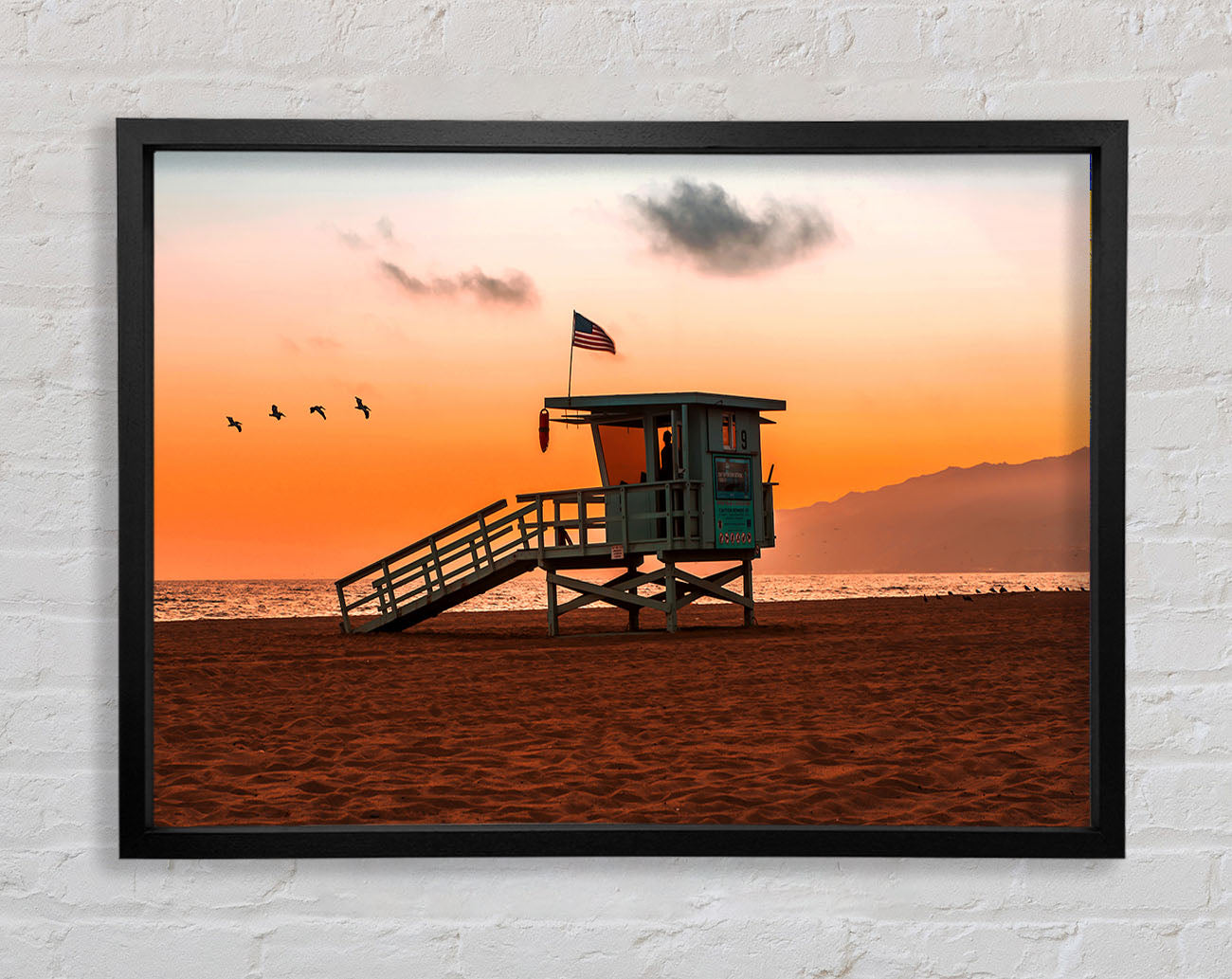 Birds Of Paradise Framed Print