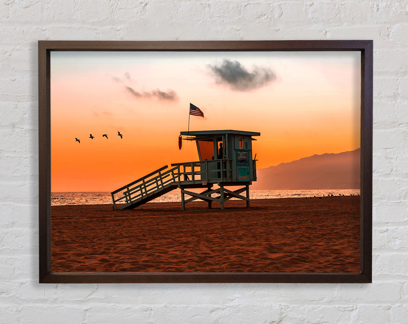 Birds Of Paradise Framed Print