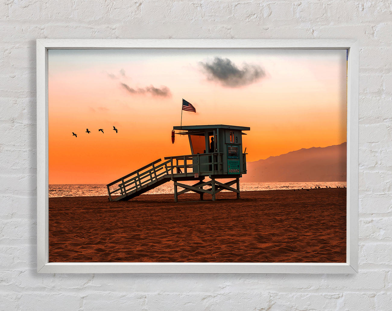 Birds Of Paradise Framed Print
