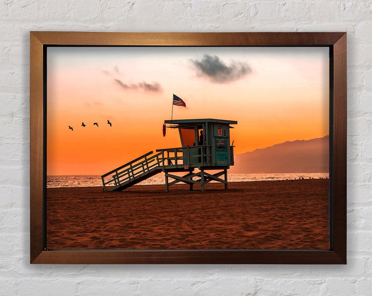Birds Of Paradise Framed Print