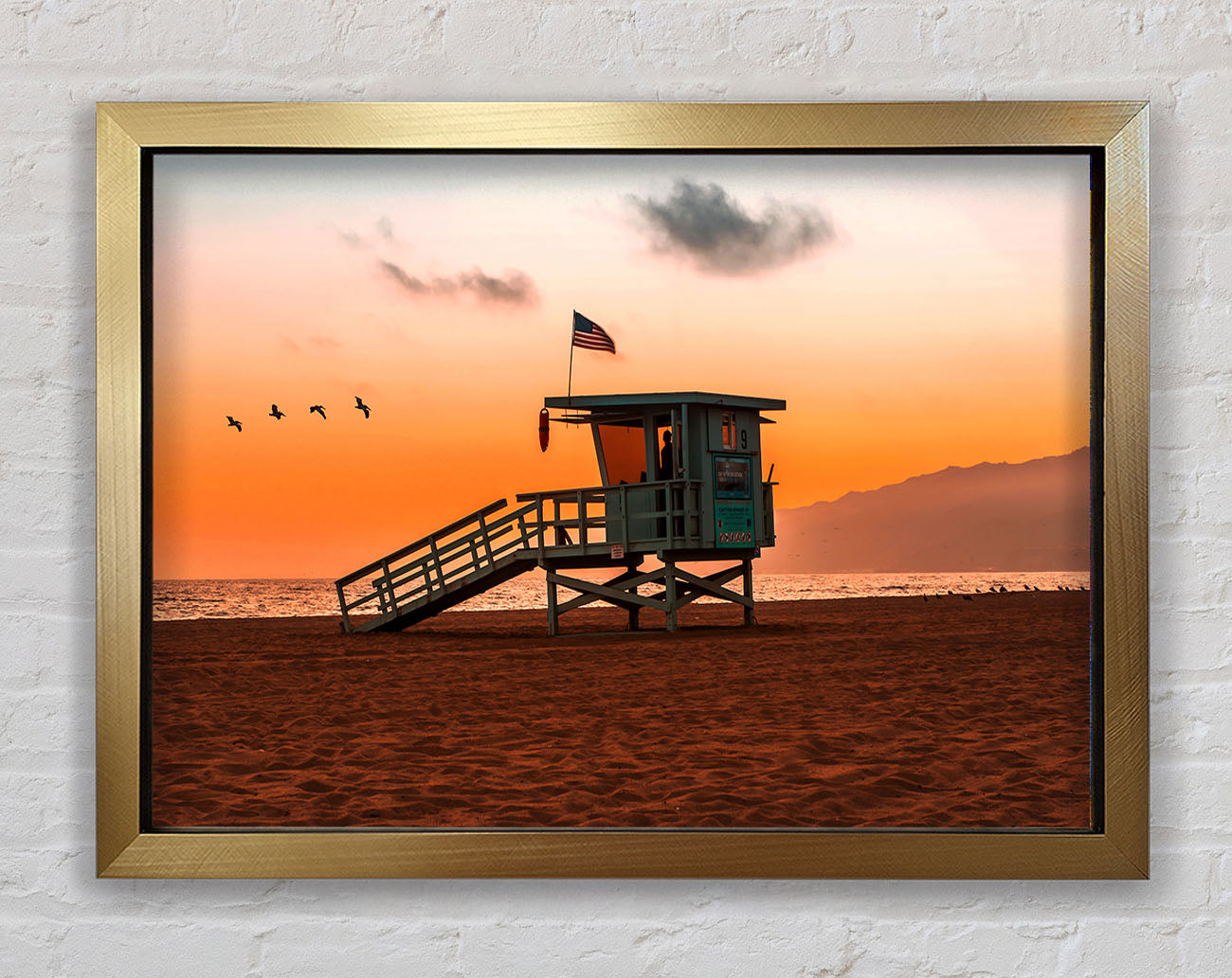 Birds Of Paradise Framed Print