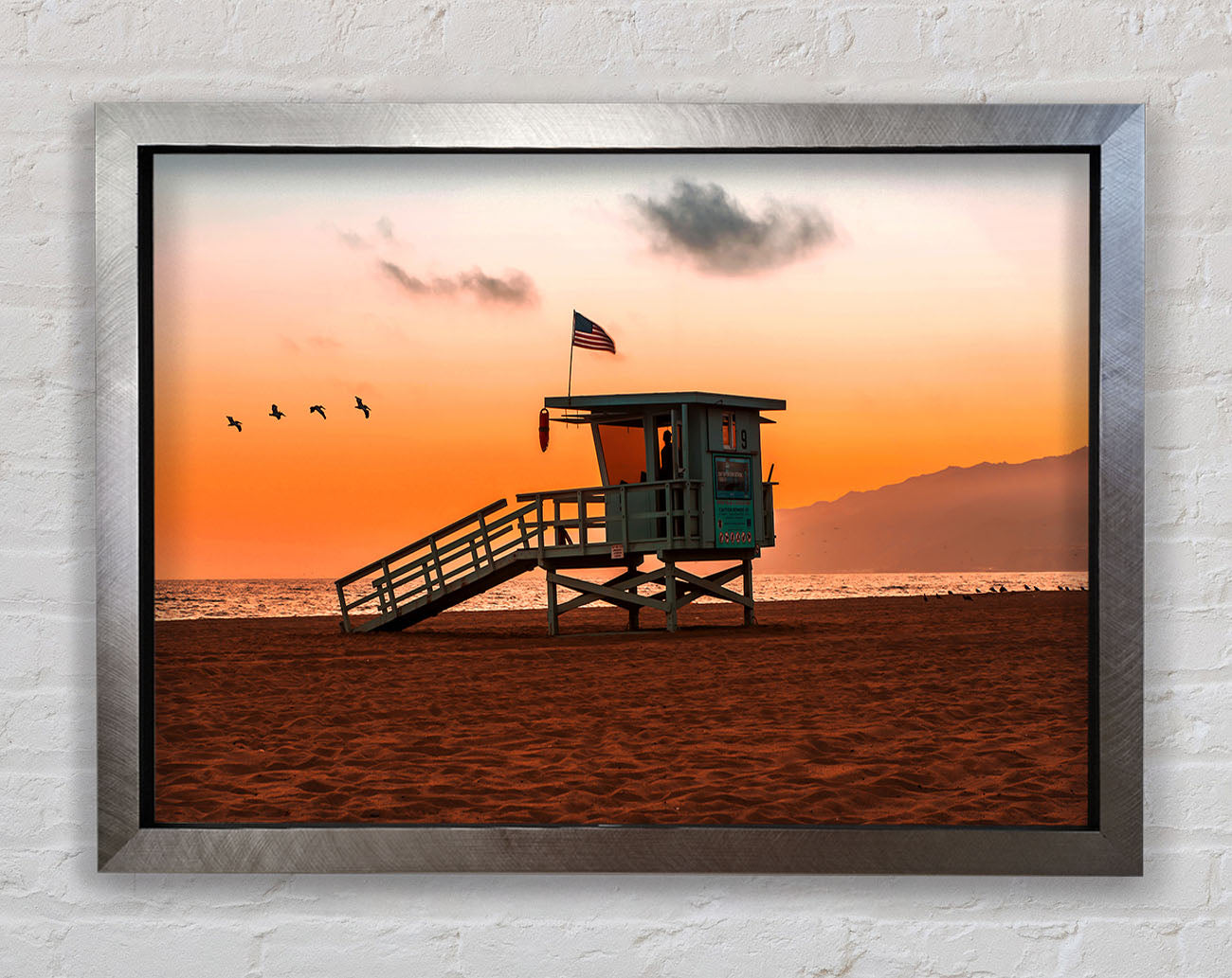 Birds Of Paradise Framed Print