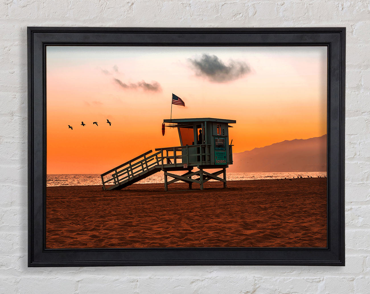 Birds Of Paradise Framed Print