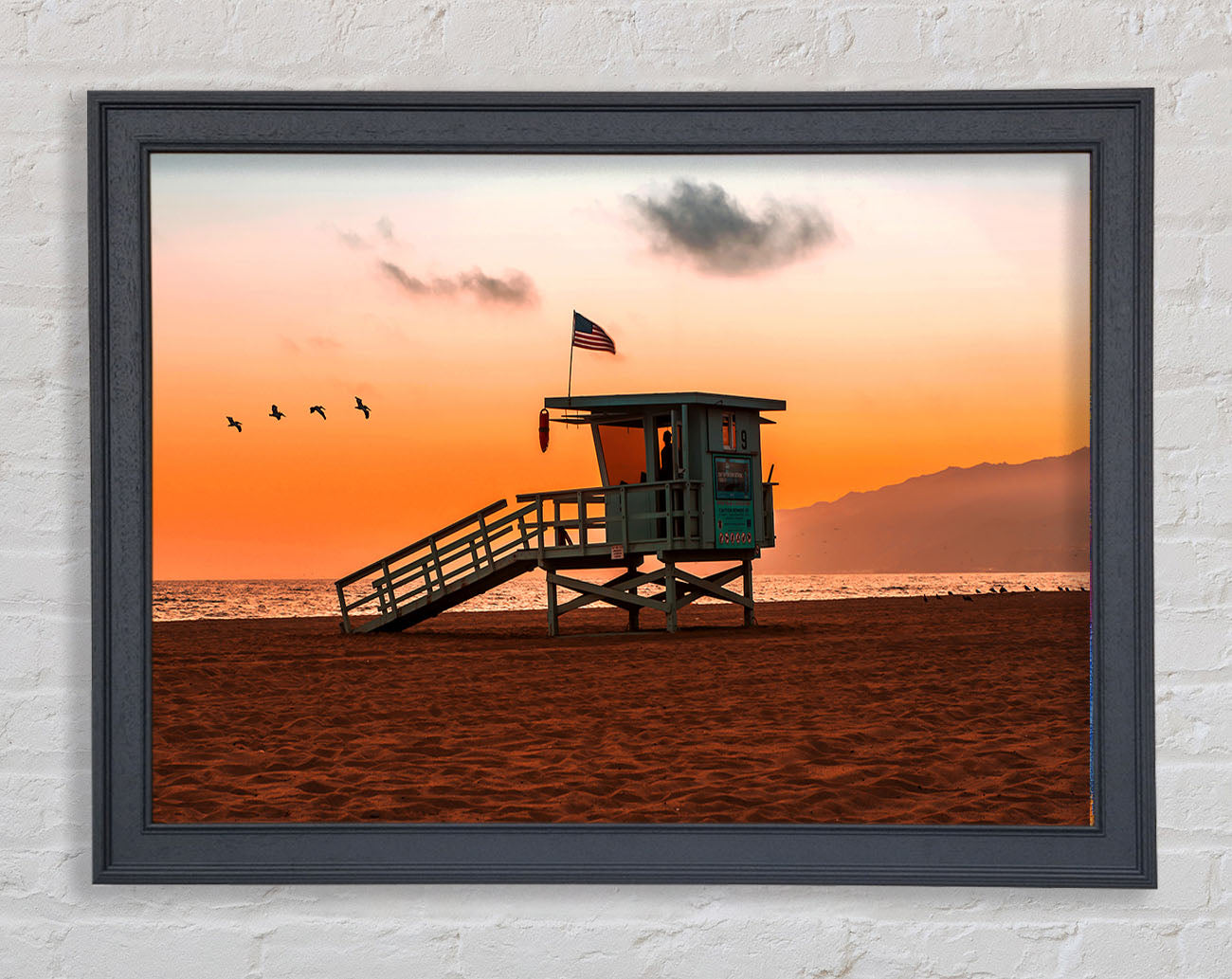 Birds Of Paradise Framed Print