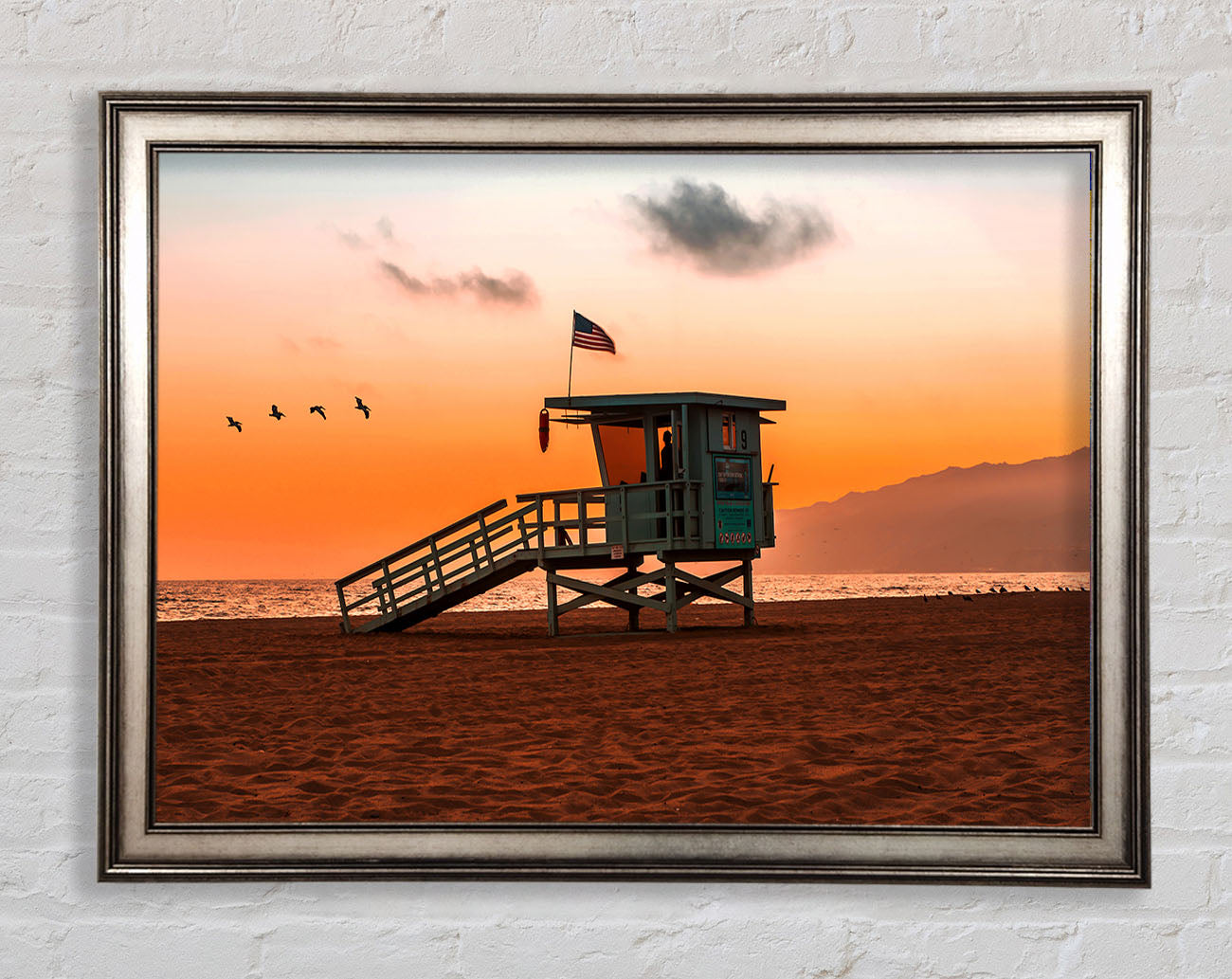 Birds Of Paradise Framed Print