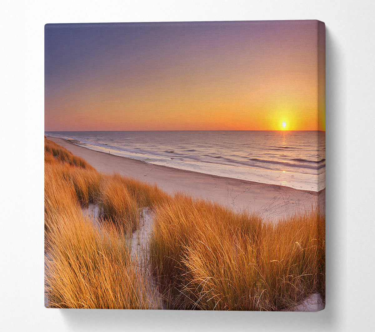 Sand Dune Sunset Canvas Art