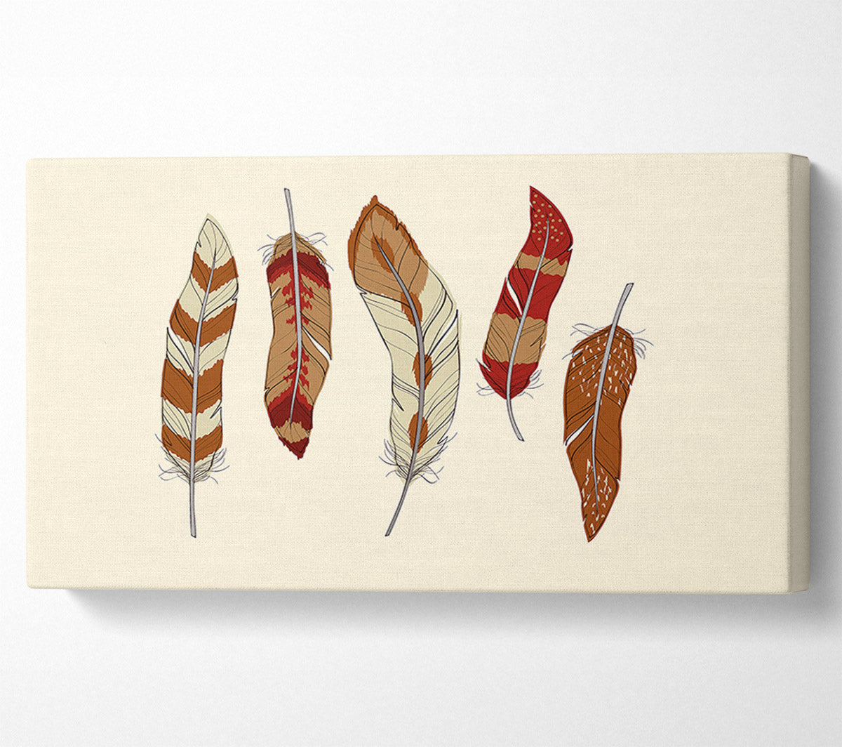 Red Indian Feathers Canvas Wall Art