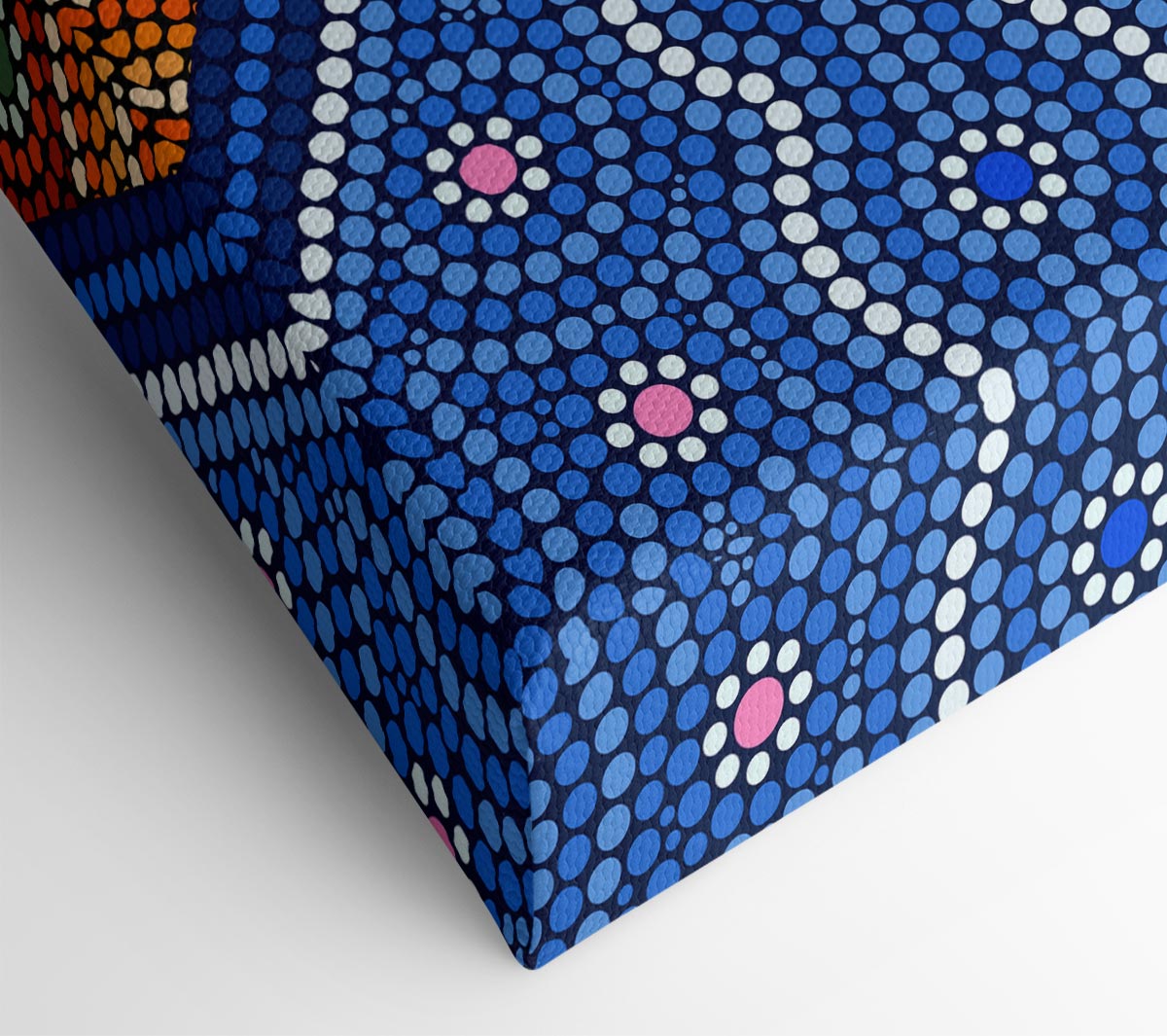 Aboriginal Pattern 9 Canvas Print