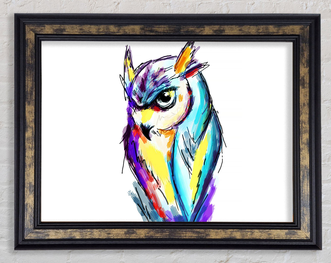 Rainbow Owl Framed Print