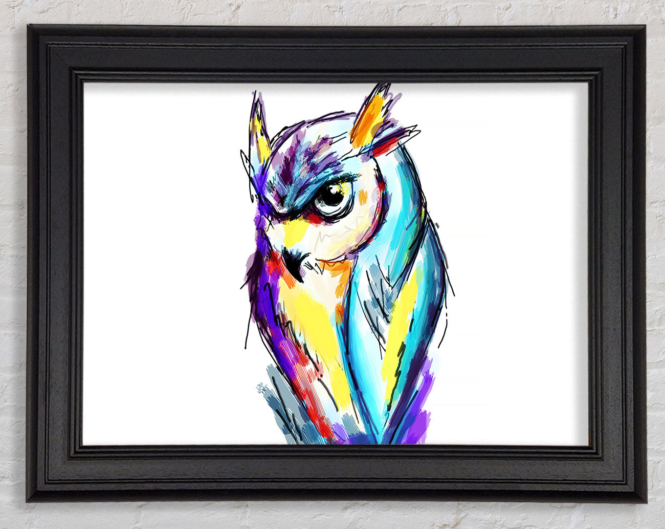 Rainbow Owl Framed Print