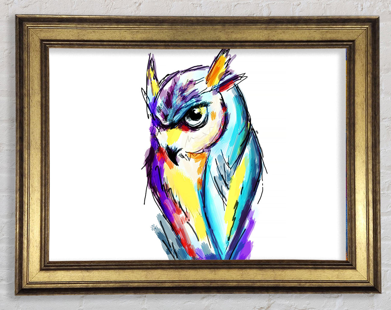 Rainbow Owl Framed Print