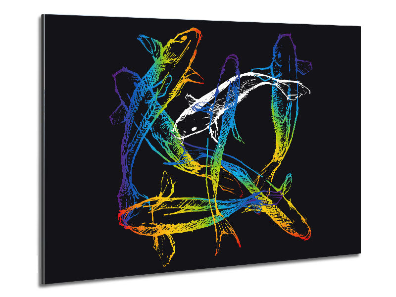 Japanese Rainbow Koi Metal Print