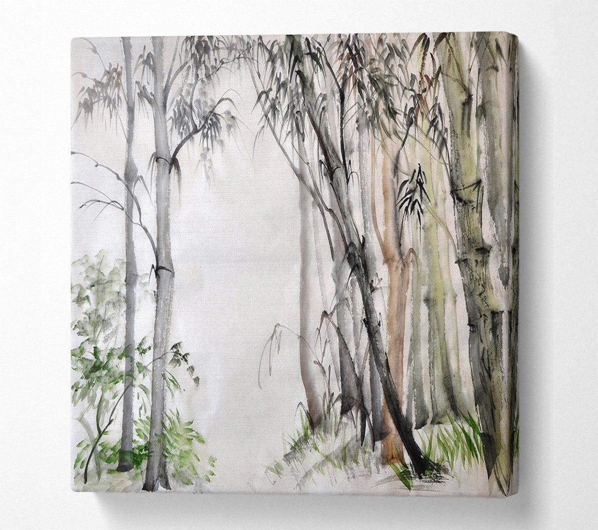 Bamboo Forest Canvas Print