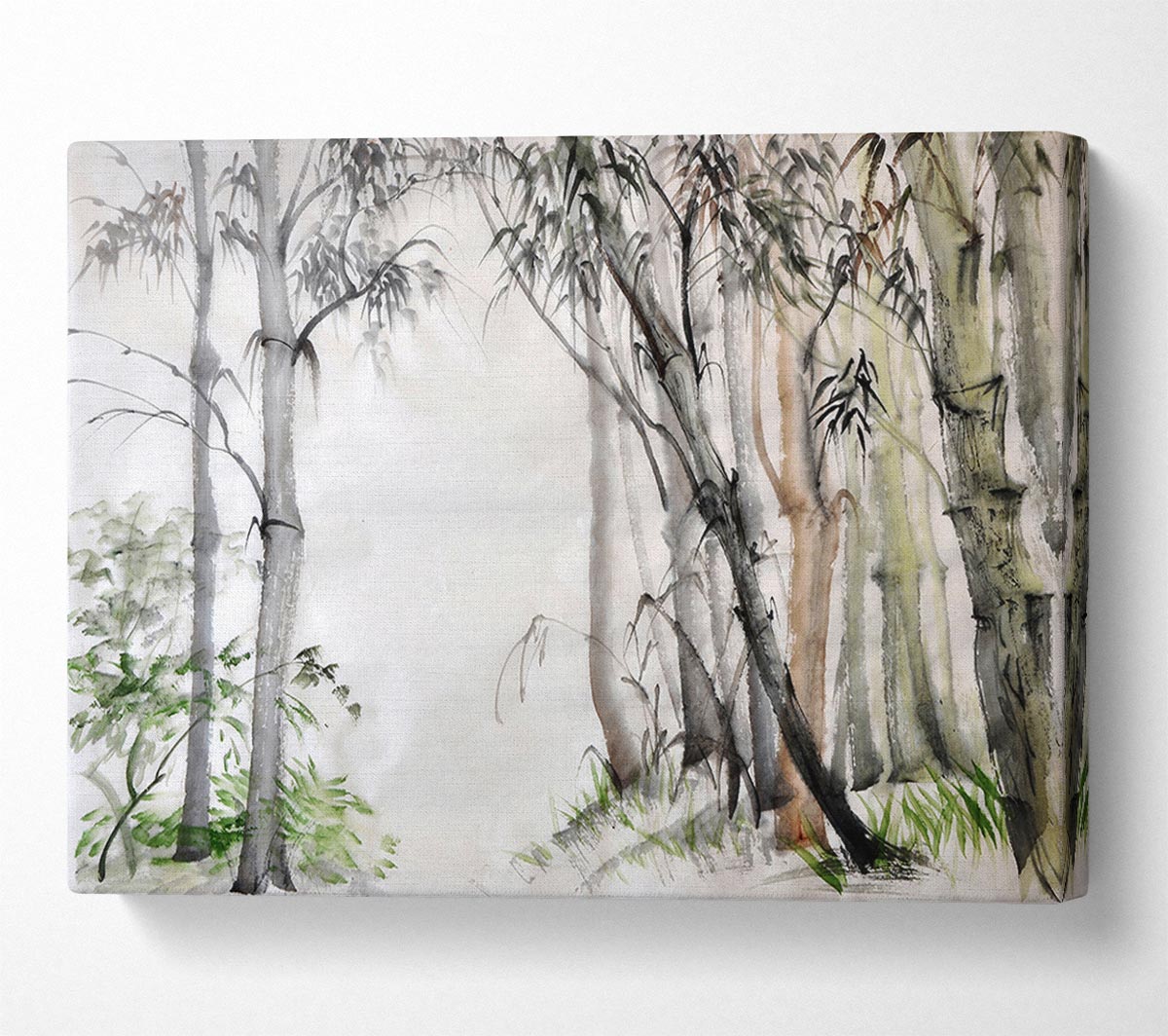 Bamboo Forest Canvas Print