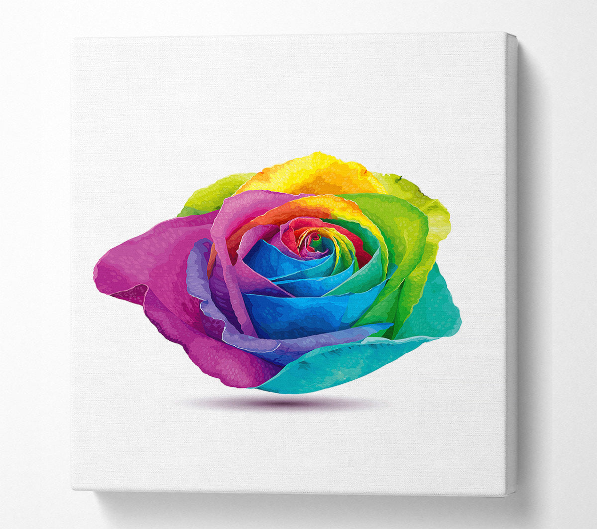 Rainbow Rose Canvas Print