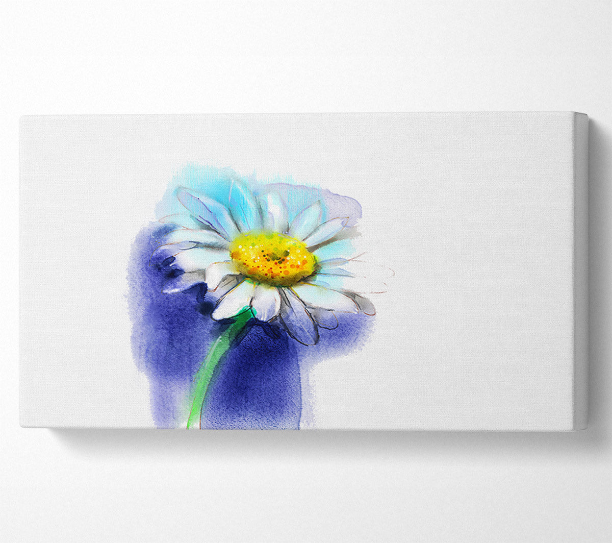 White Daisy Blues Canvas Wall Art
