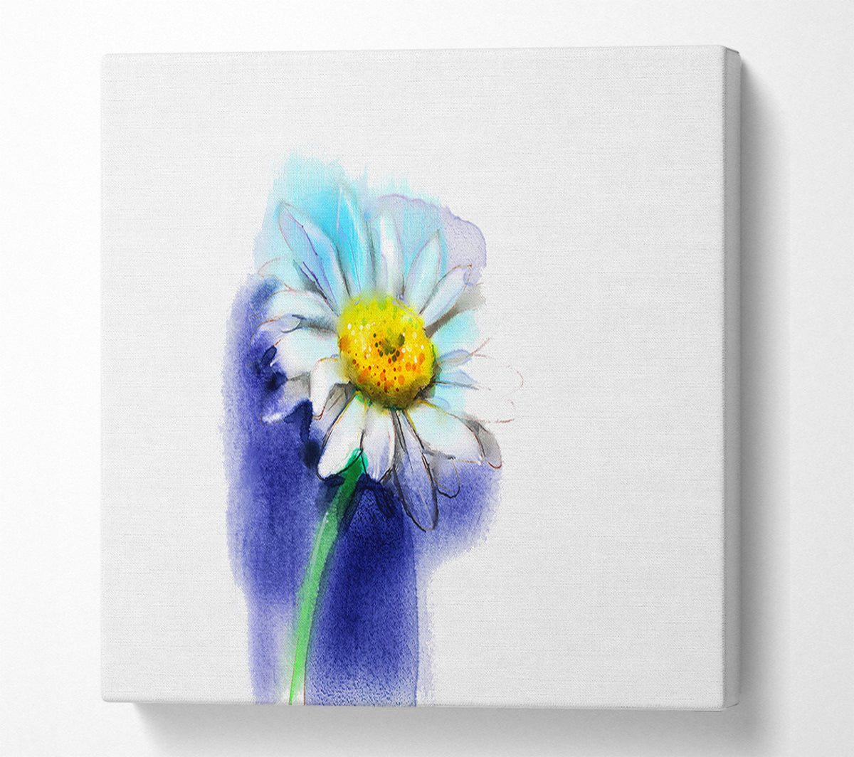 White Daisy Blues Canvas Wall Art