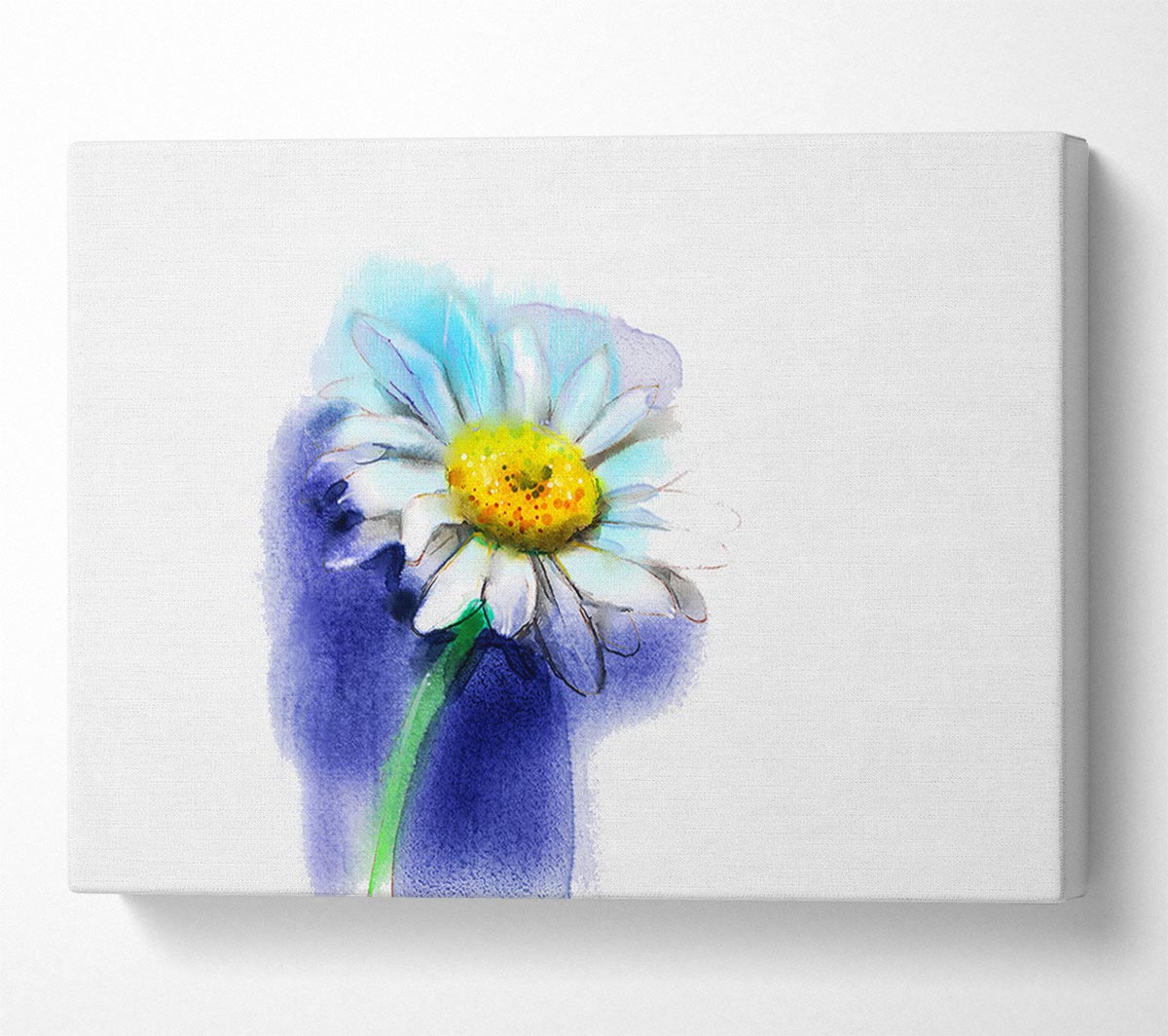 White Daisy Blues Canvas Wall Art