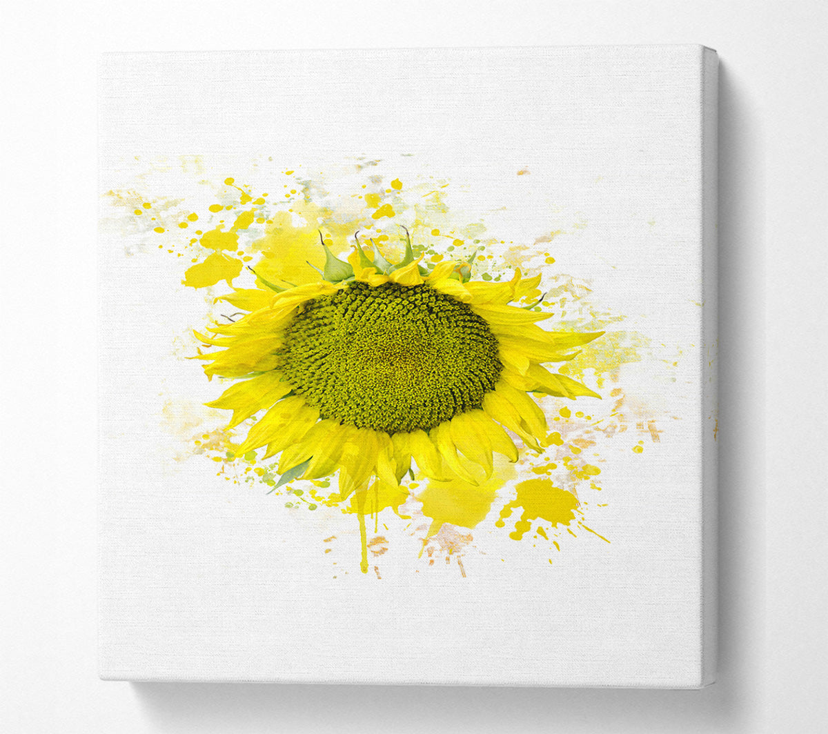 Sunflower Splash 2 Canvas Wall Art