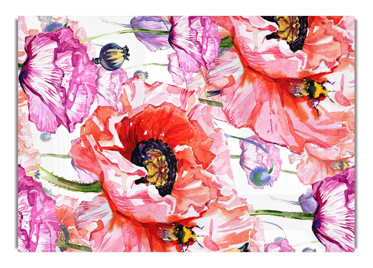 Carnation Poppy Garden