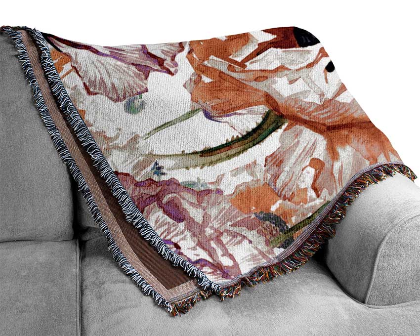 Carnation Poppy Garden