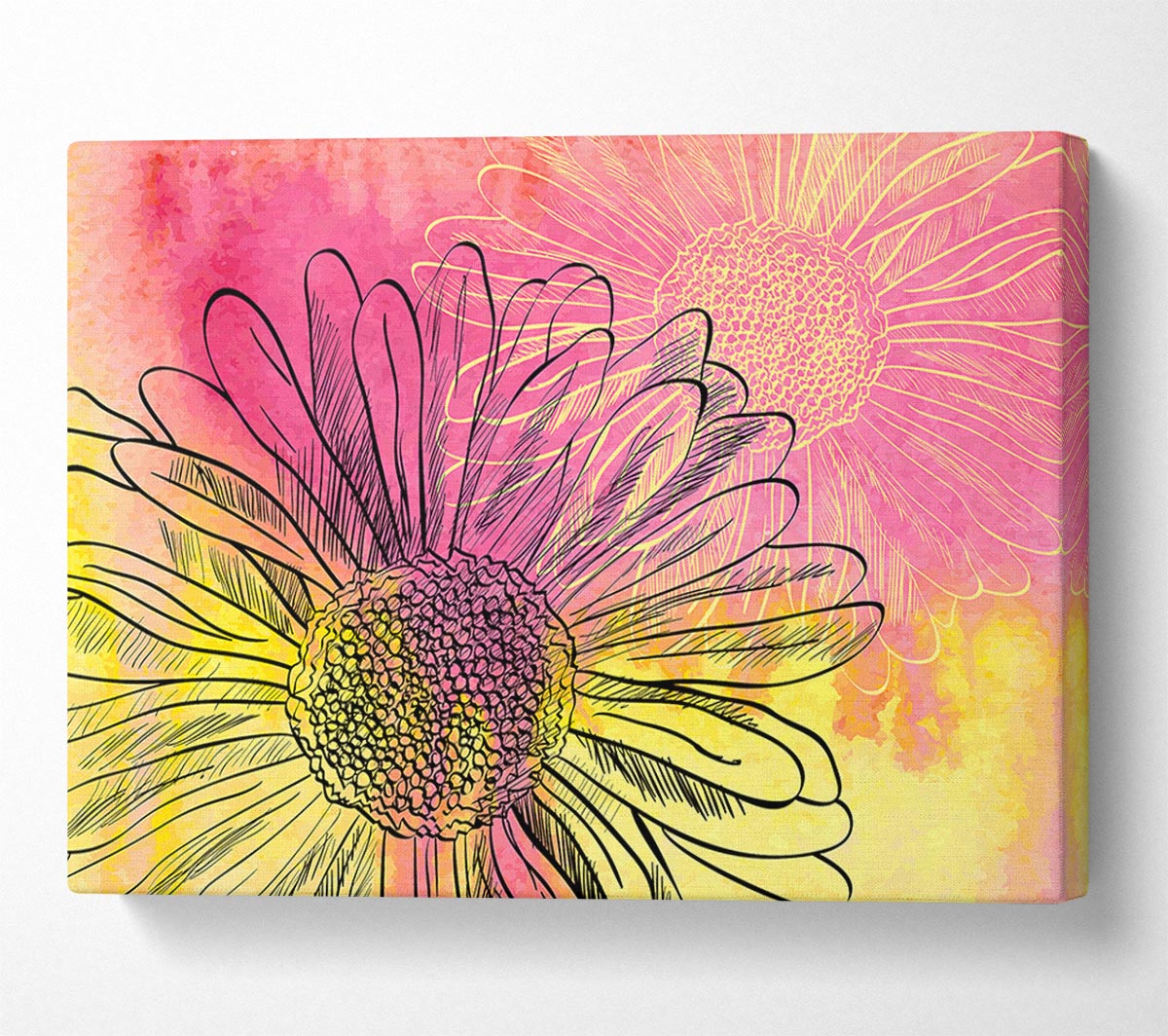 Summer Daisies Canvas Wall Art
