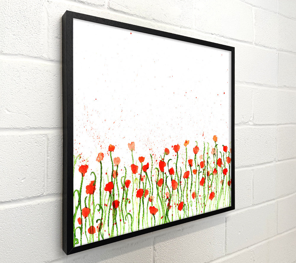 Red Poppy Garden Splash