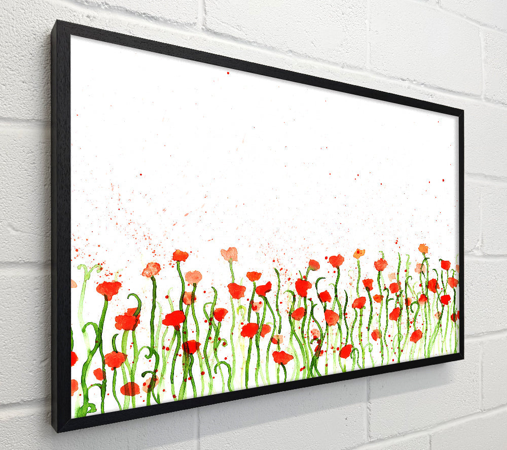 Red Poppy Garden Splash