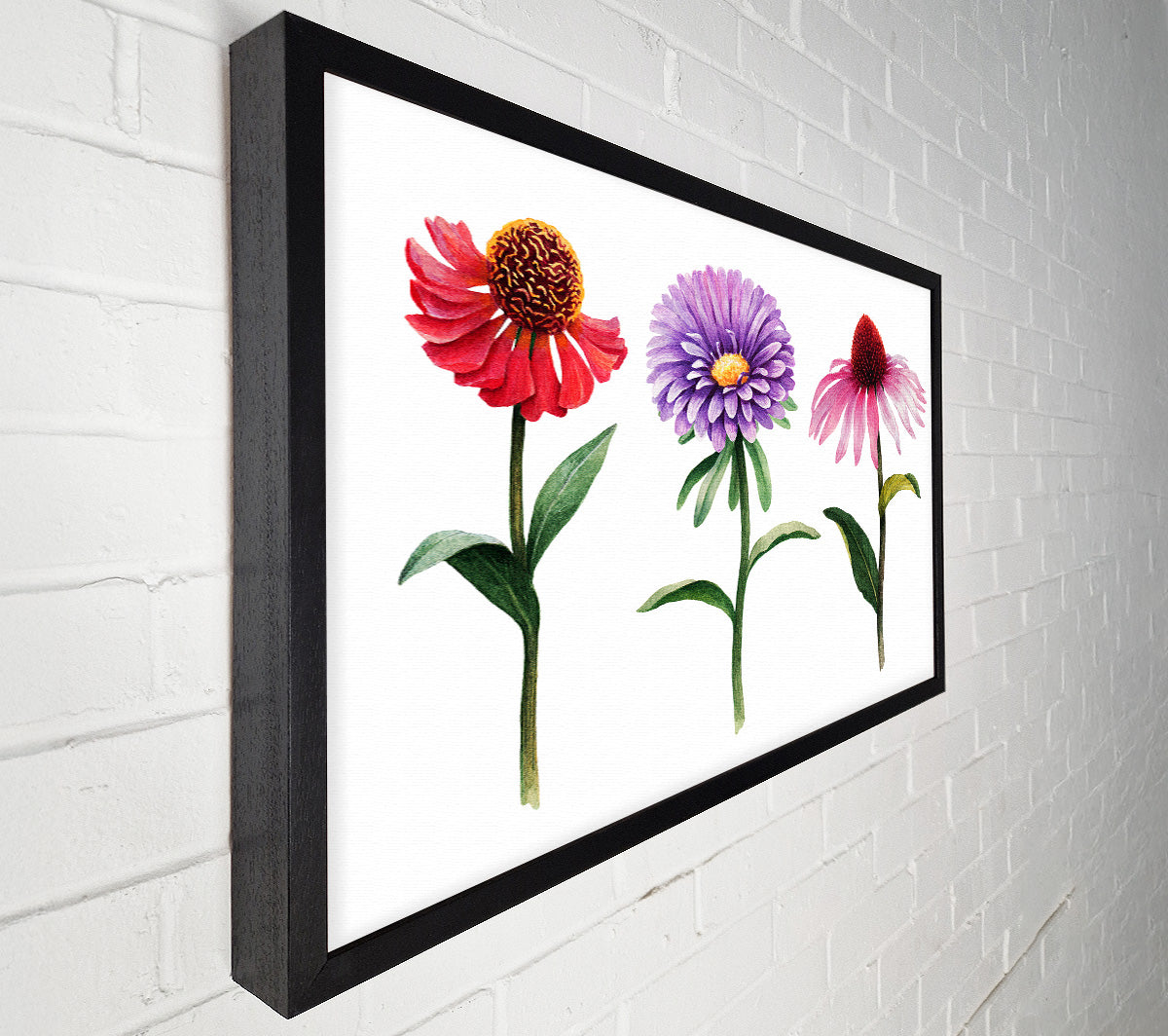Trio Of Garden Flowers Canvas Wall Art