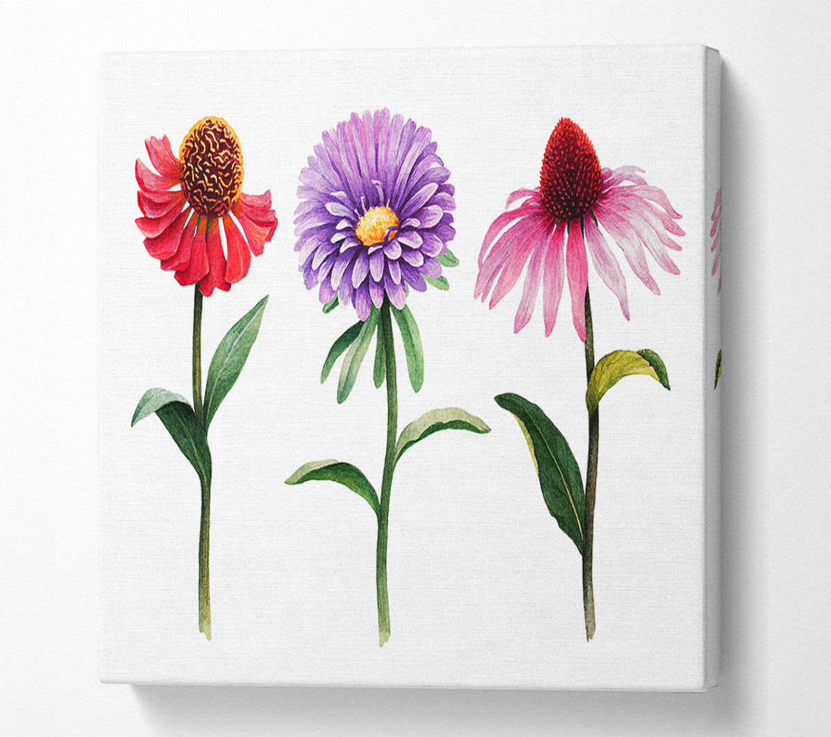 Trio Of Garden Flowers Canvas Wall Art