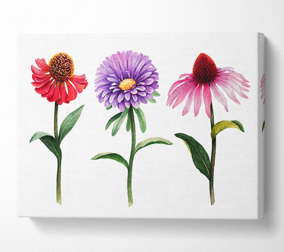 Trio Of Garden Flowers Canvas Wall Art