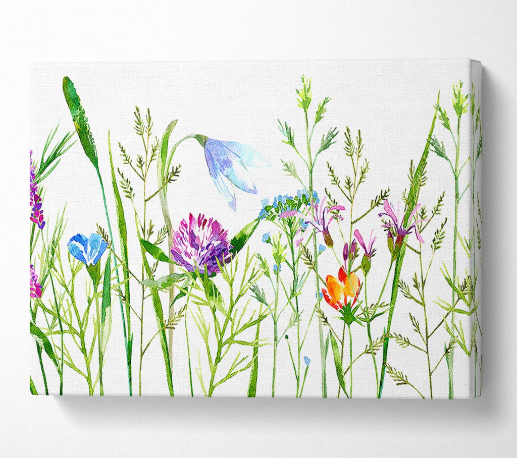 English Garden Canvas Print
