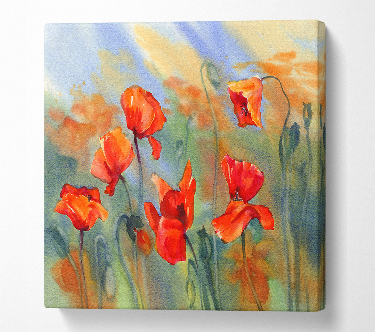 Poppy Abstract Canvas Wall Art