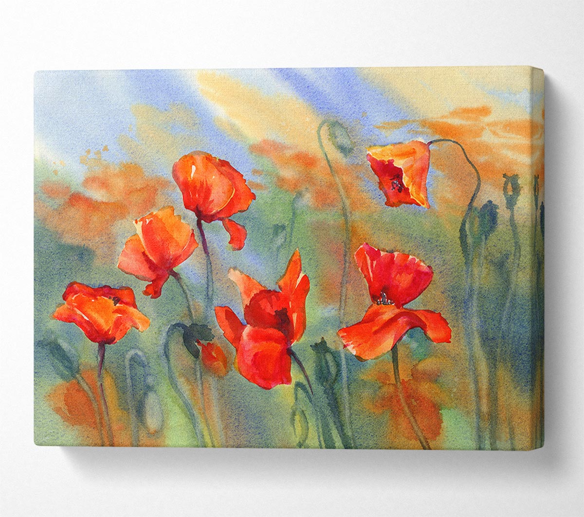 Poppy Abstract Canvas Wall Art