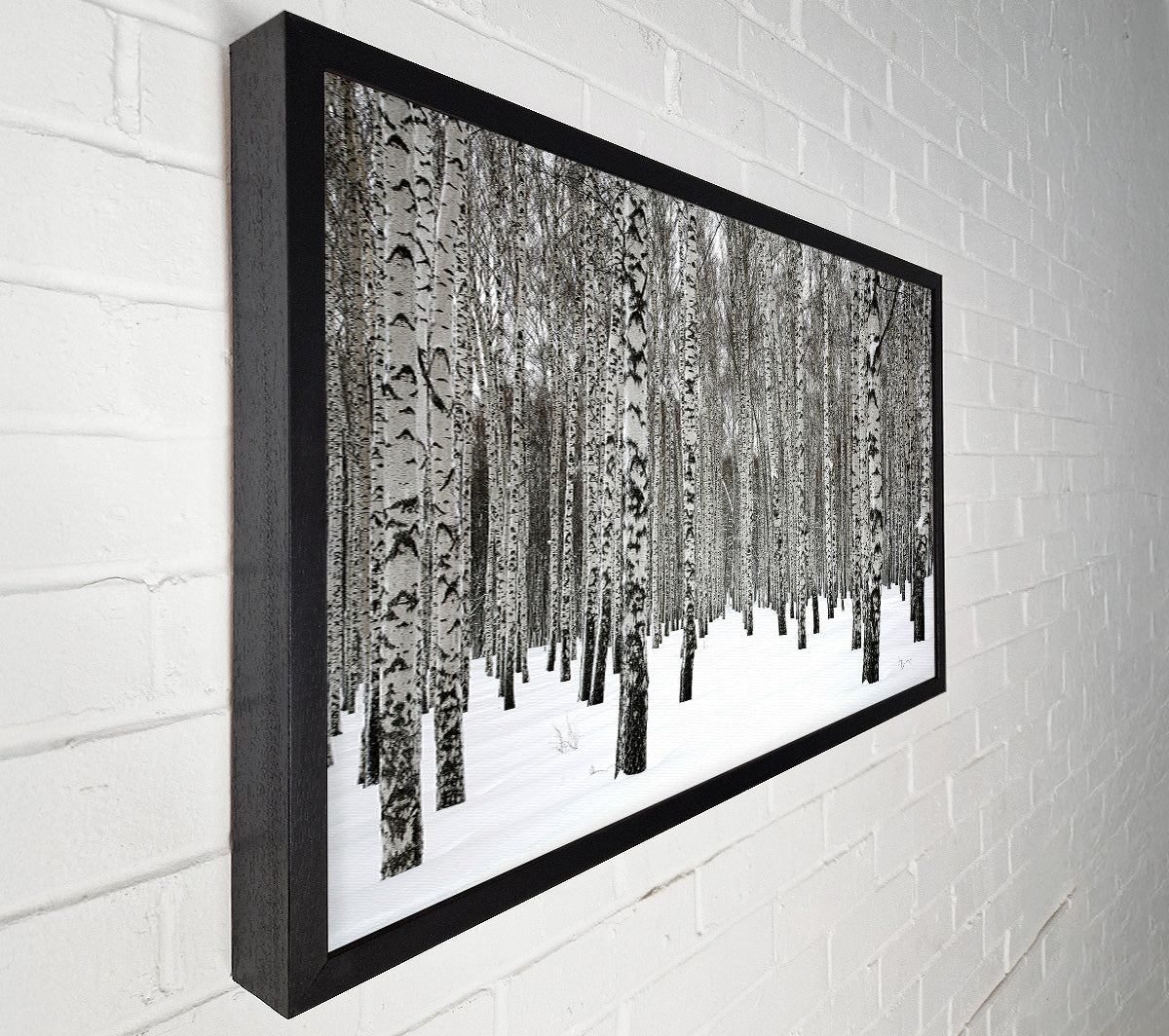 Silver Birch Trees In The Snow Canvas Wall Art