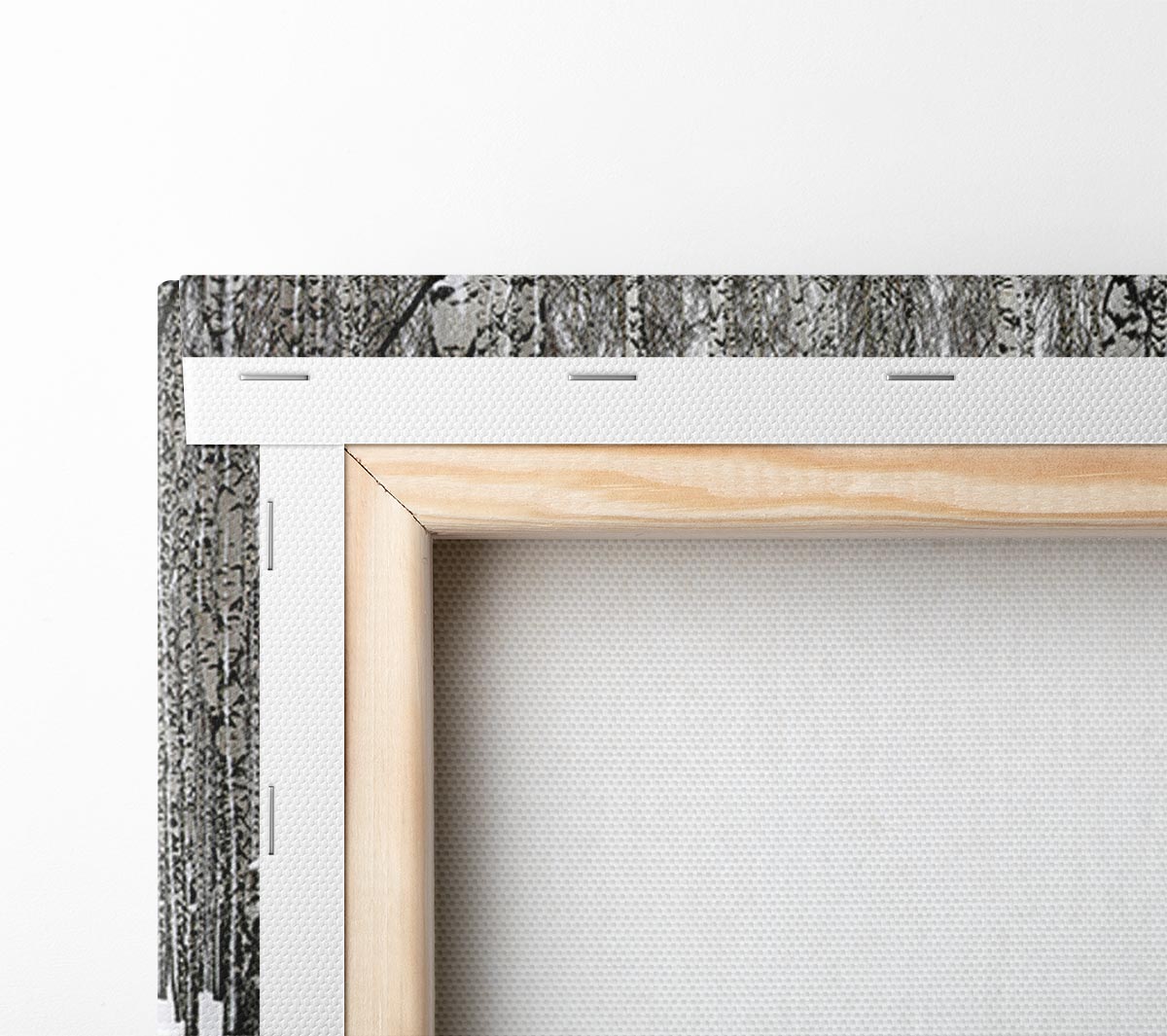 Silver Birch Trees In The Snow Canvas Wall Art