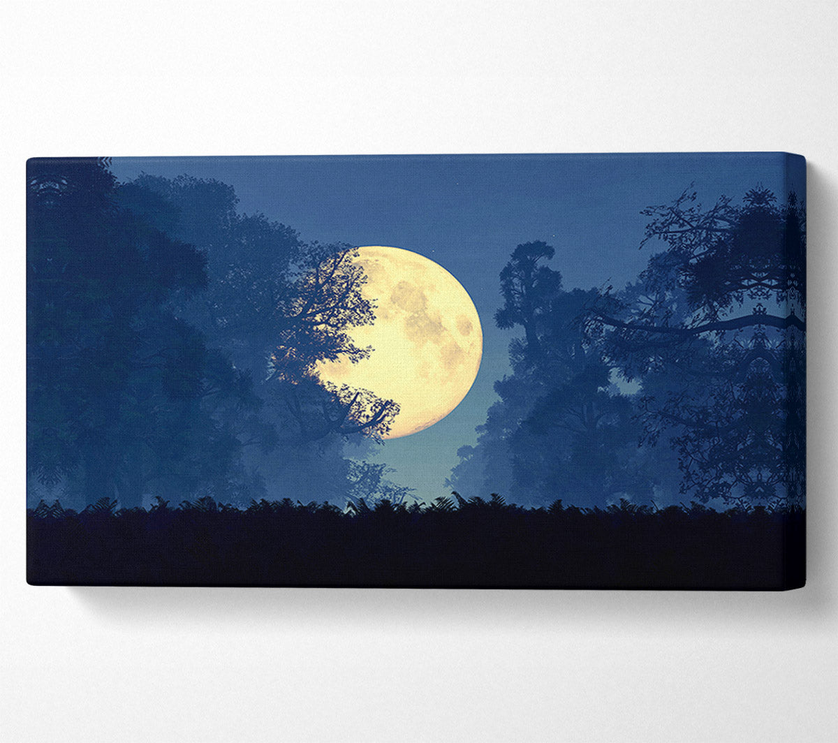 Stunning Midnight Moon Through The Trees Canvas Wall Art