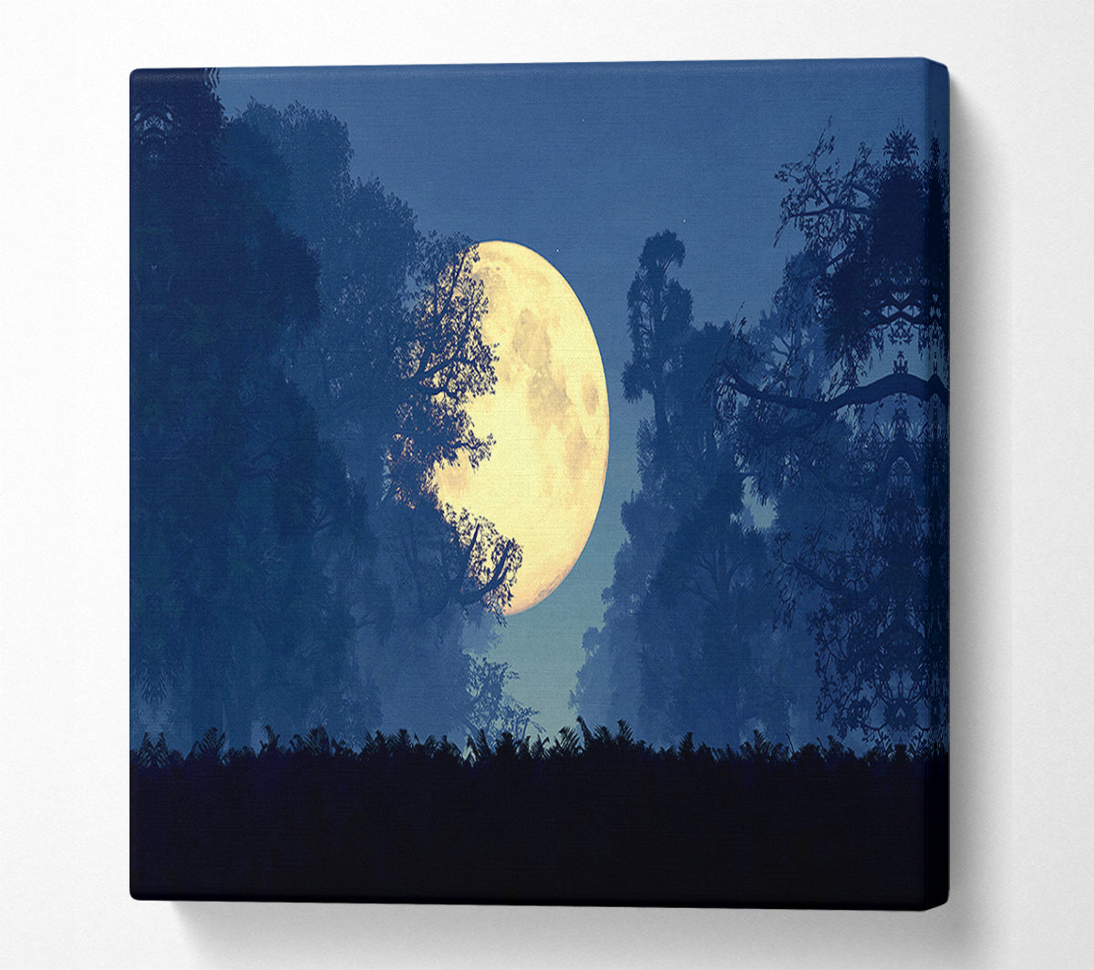 Stunning Midnight Moon Through The Trees Canvas Wall Art