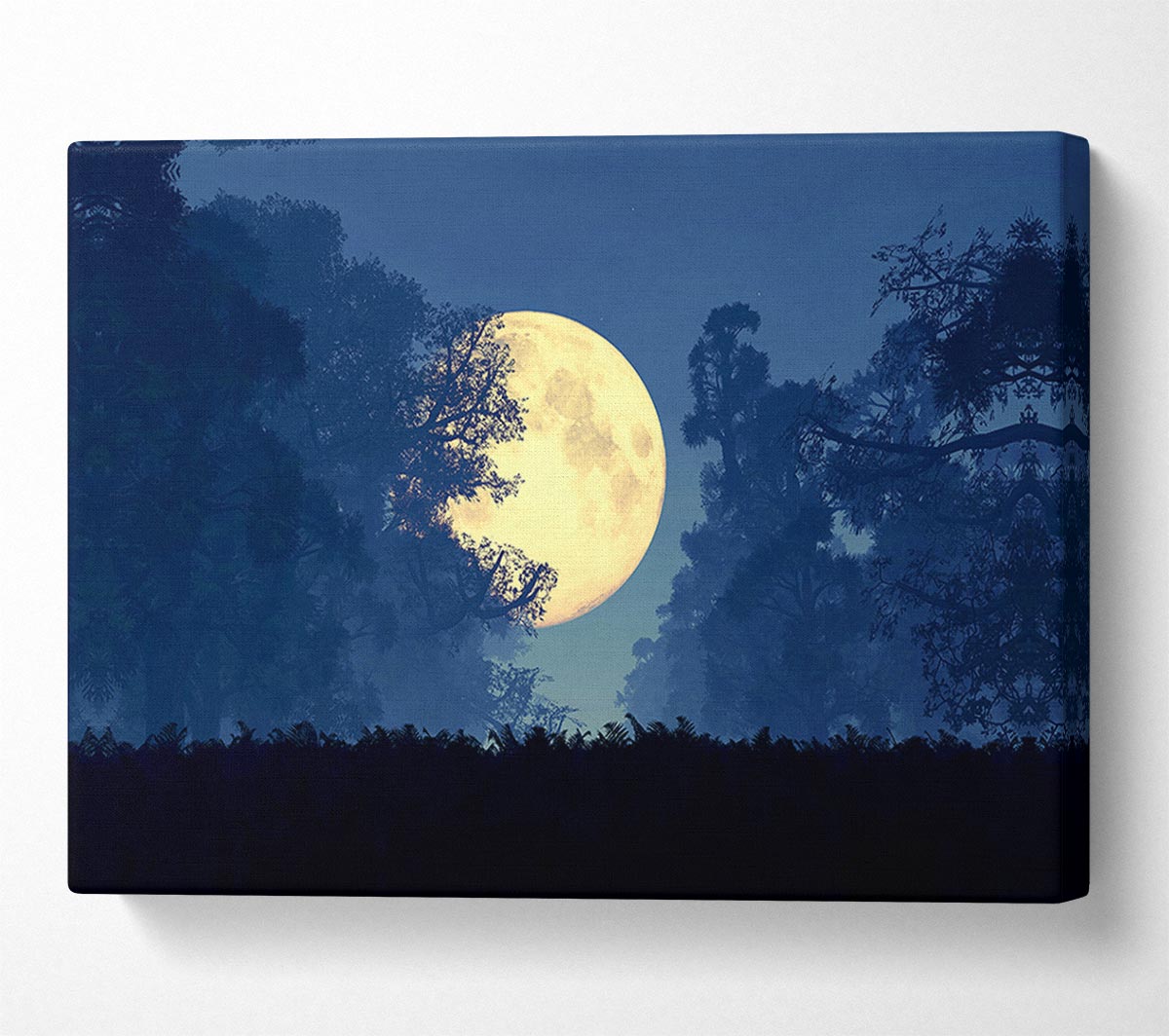 Stunning Midnight Moon Through The Trees Canvas Wall Art