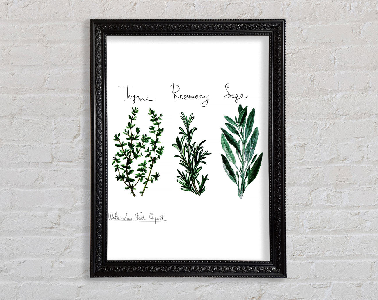 Herb Selection 3 Framed Print