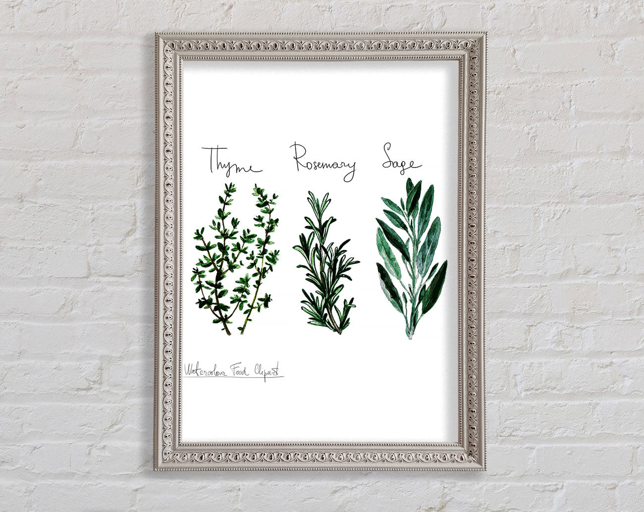 Herb Selection 3 Framed Print