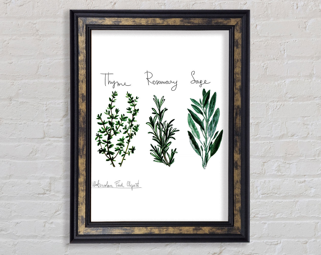 Herb Selection 3 Framed Print
